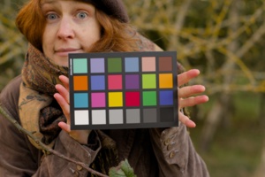 I may choose a different picture